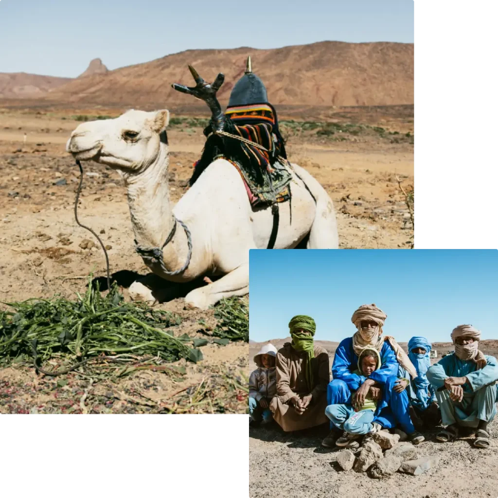 Tuareg Family Camel